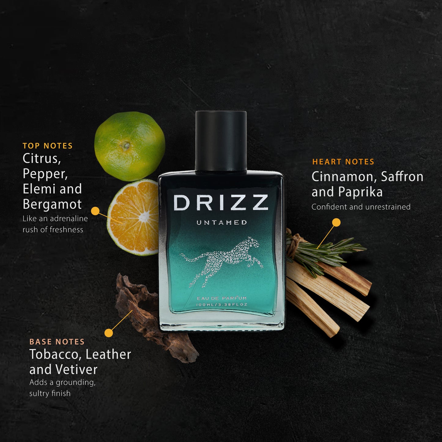 DRIZZ Untamed Eau De Parfum for Men 100ml