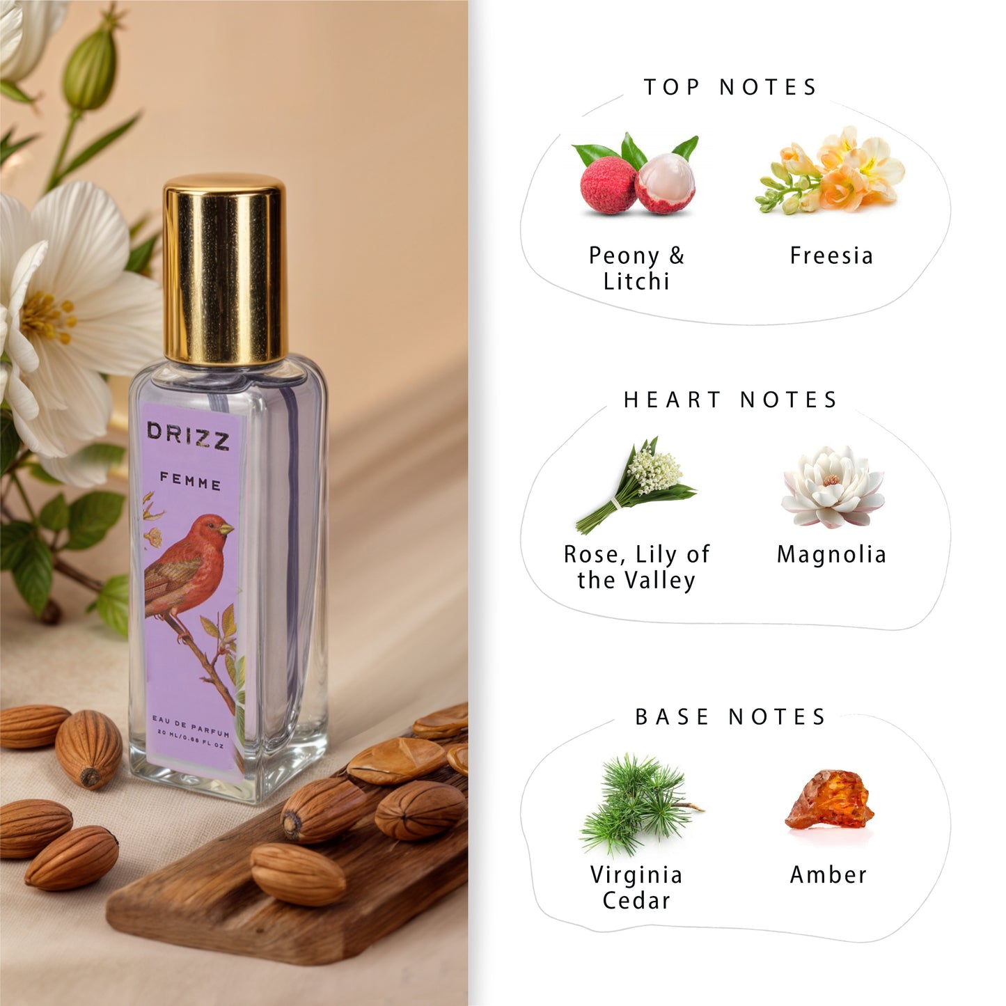 DRIZZ Fit for a Queen Luxury Women Eau De Parfum Gift Set 4x20ml for Women with Spark, Femme, Dazzle, Queen Perfumes