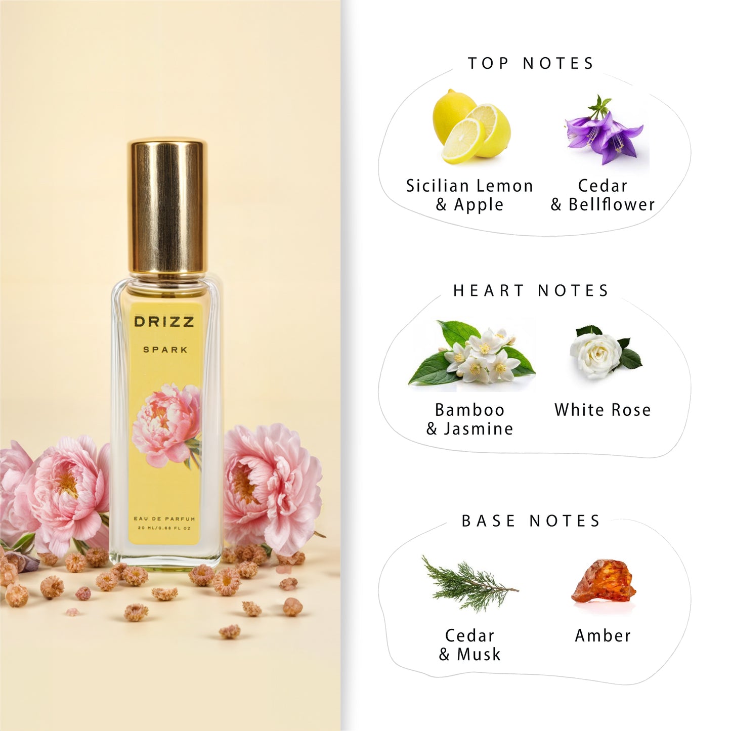 DRIZZ Fit for a Queen Luxury Women Eau De Parfum Gift Set 4x20ml for Women with Spark, Femme, Dazzle, Queen Perfumes